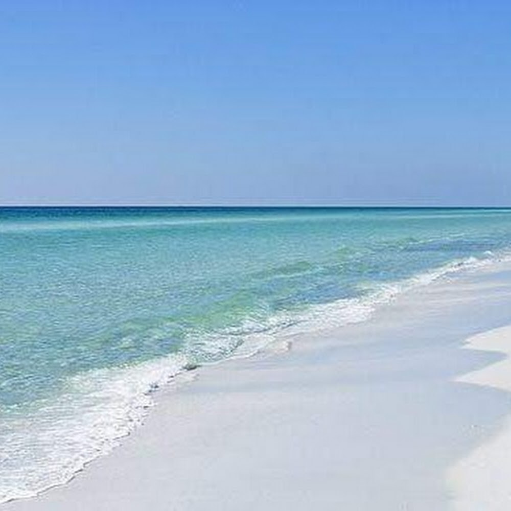 Meet your Posher, Xio